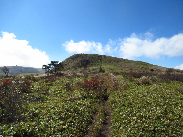 画像53